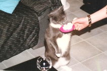 (1991-04) Anniversaire de Clafouti et Marilyne